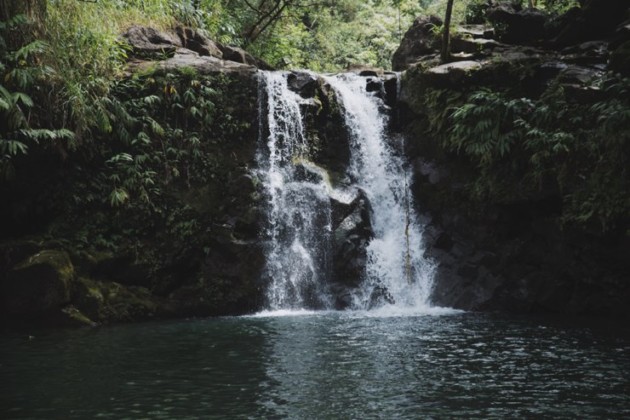 Photos from a recent trip to Hana and Beyond - Maui Goodness