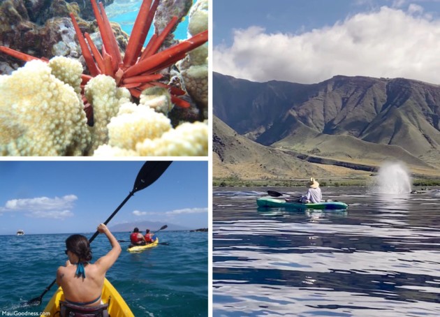 9 Ways to Experience Maui’s Hidden Magic - Maui Goodness