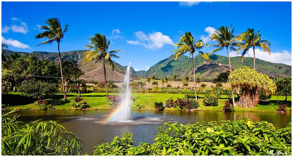 Central Maui Zipline Tour - Maui Goodness